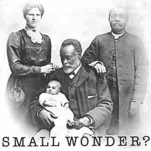 The Carpettes - Small Wonder?