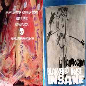 Audiocum - Blakkened Noise Insane