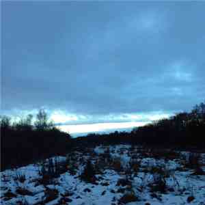 Razxca - Muscular Frame Of Dreams 1
