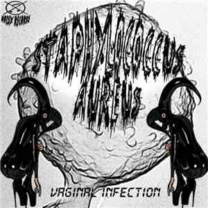 Staphylococcus Aureus - Vaginal Infection