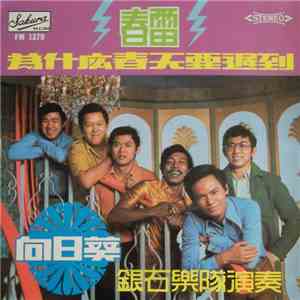 銀石樂隊 - 向日葵