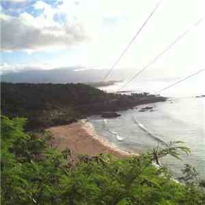 Good Times , New Reality  - ...At the Beach/In the Woods...