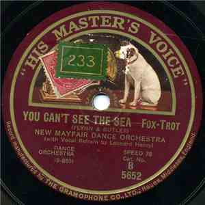 New Mayfair Dance Orchestra - You Can't See The Sea / Dancing Goblin