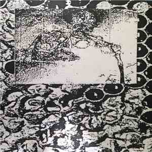 SS - Beachcomber