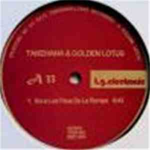 Takehana & Golden Lotus - Sous Les Feux De La Rampe
