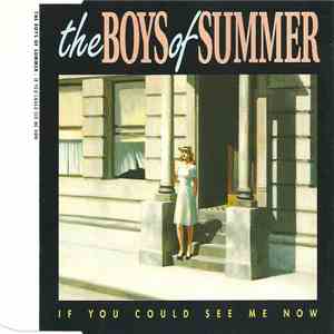 The Boys Of Summer - If You Could See Me Now