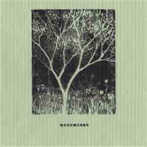 Encomiast - Encomiast