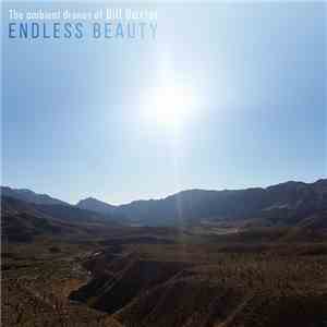 The Ambient Drones Of Bill Baxter - Endless Beauty