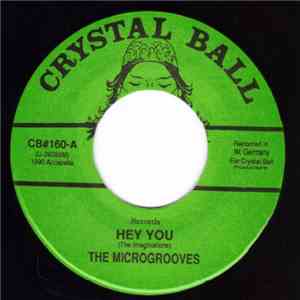 The Microgrooves - Hey You