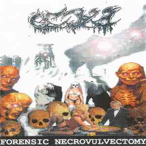 Compulsive Vulvolatric Intruders - Forensic Necrovulvectomy