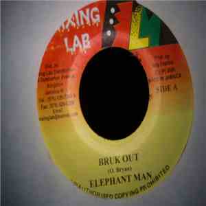 Elephant Man / SQJ - Bruk Out / Education