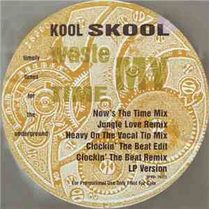 Kool Skool - Waste My Time