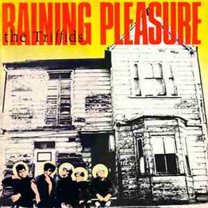The Triffids - Raining Pleasure