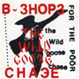 B-Shops For The Poor - The Wild Goose Chase