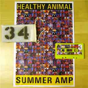 Healthy Animal / Summer Amp - Tape #2