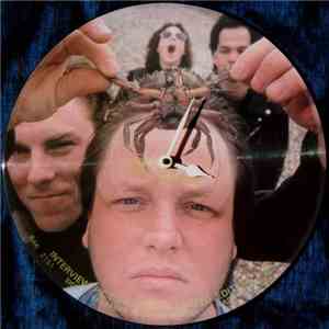 Pixies - Limited Edition Interview Picture Disc