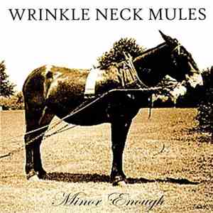 Wrinkle Neck Mules - Minor Enough