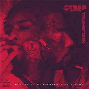 Strap Da Fool - Transform