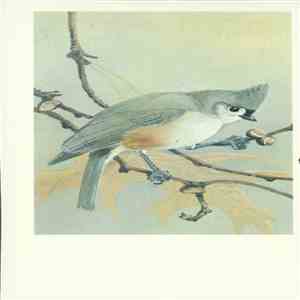 No Artist - Tufted Titmouse