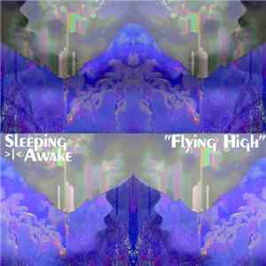 Sleeping Awake - Flying High
