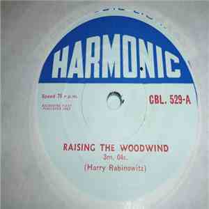 Unknown Artist - Raising The Woodwind / Holiday Hotel