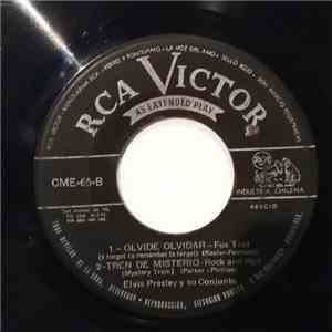 Elvis Presley - Hotel Nostalgico (Heartbreak Hotel)