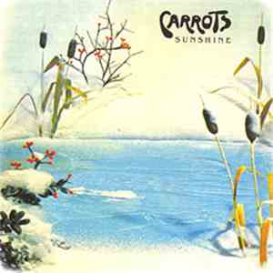 Carrots - Sunshine