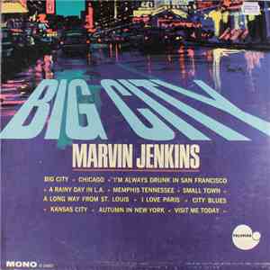 Marvin Jenkins - Big City