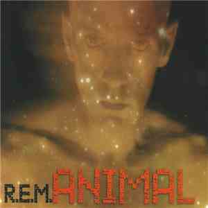 R.E.M. - Animal