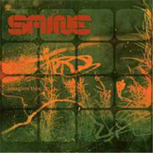 Saine - Imagine This