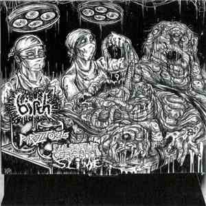 Birth / Parazitózis / Pulsating Cerebral Slime - Birth / Parazitózis / Pul ...