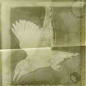 Karl-Johan Nilsson - The Seams