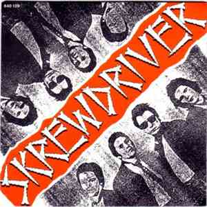 Skrewdriver - You're So Dumb
