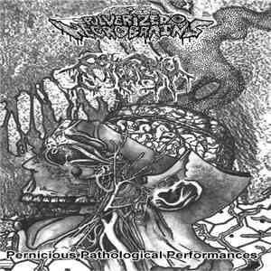 Pulverized Necrobrains / Patisserie - Pernicious Pathological Performances