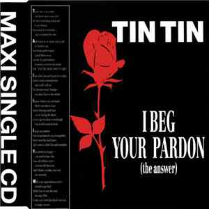 Tin Tin  - I Beg Your Pardon (The Answer)