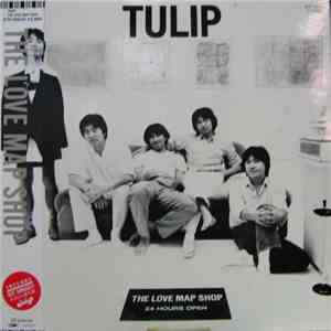 チューリップ - The Love Map Shop