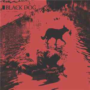 alone. & Bittertv - Black Dog