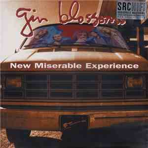 Gin Blossoms - New Miserable Experience