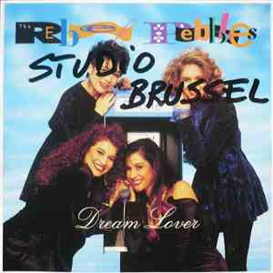 The Rebel Pebbles - Dream Lover