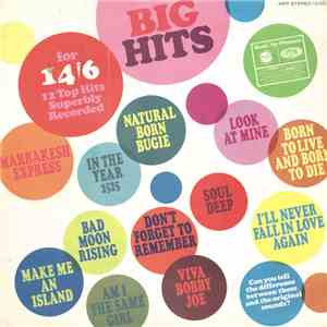 Unknown Artist - Big Hits