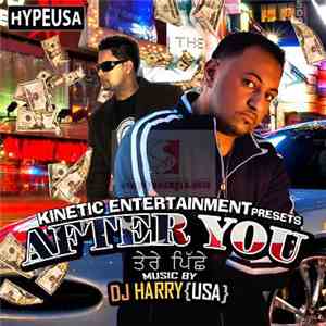 DJ Harry - After You