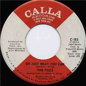 The Fuzz  - Do Just What You Can