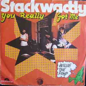 Stackwaddy - You Really Got Me