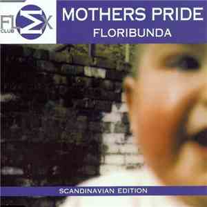 Mothers Pride - Floribunda