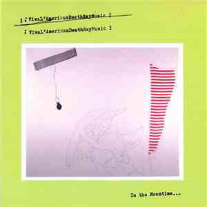 Viva L'American Death Ray Music - In The Meantime