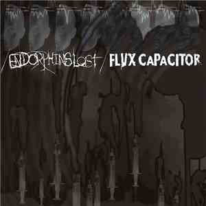 Endorphins Lost / Flvx Capacitor - Endorphins Lost / Flvx Capacitor