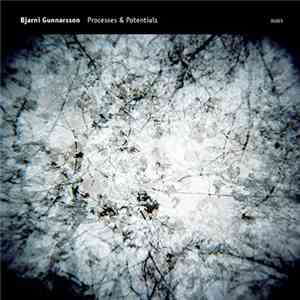 Bjarni Gunnarsson - Processes & Potentials