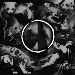 Critical Convictions - Divisions