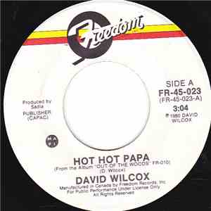 David Wilcox  - Hot Hot Papa