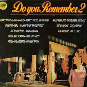 Various - Do You Remember 2